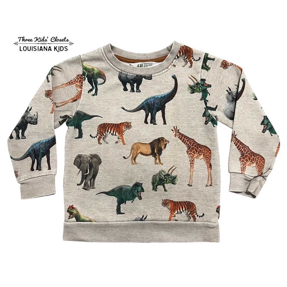 H&M 3/4T Wild Animals Pullover Sweatshirt